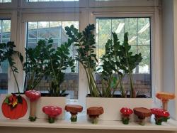 Jesienne grzyby w świetlicy